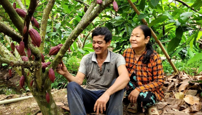 Xuất khẩu ca cao