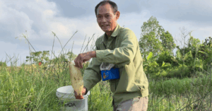 Cán bộ nghỉ hưu làm giàu nhờ nuôi cáy