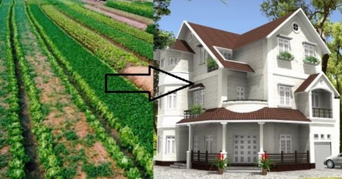 Chuyển mục đích sử dụng đất 