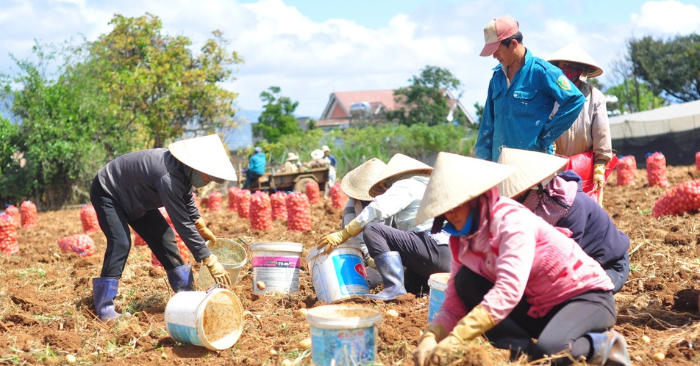Vì sao hàng giả, hàng nhái vẫn tồn tại dù kiểm tra gắt gao?