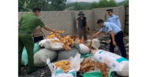 Xử phạt kinh doanh măng khô không rõ nguồn gốc