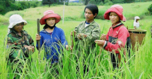 Hợp nhất 3 chương trình mục tiêu quốc gia để phát huy hiệu quả đầu tư công