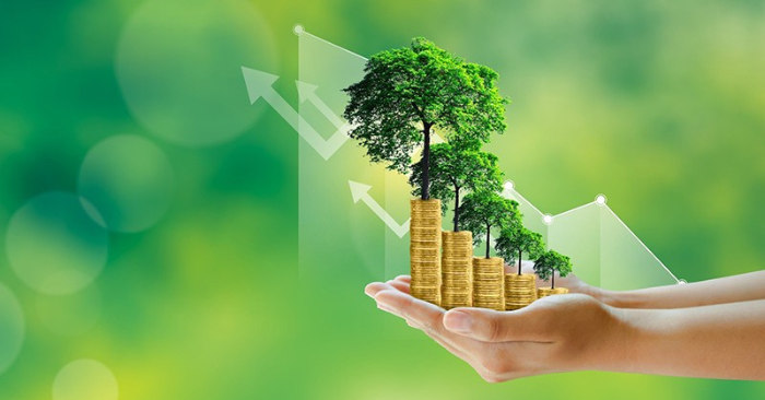 Doanh nghiệp Việt Nam đẩy mạnh ESG để hút vốn xanh
