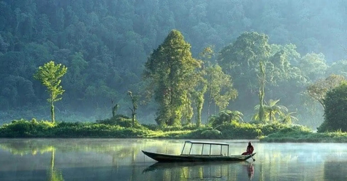 Hiểu mệnh hiểu mình – An nhiên giữa dòng đời xuôi ngược