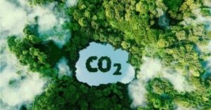 Tín chỉ carbon