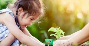 Người hiền không tranh thắng - Học cách giữ hòa khí