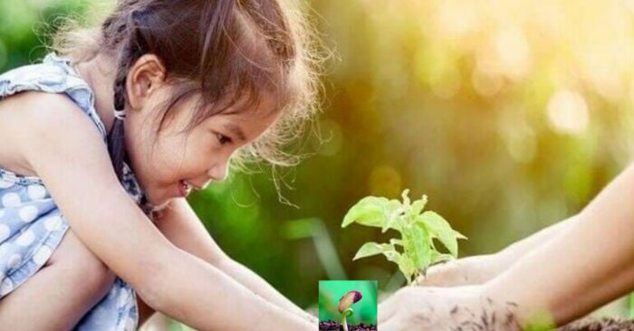 Người hiền không tranh thắng - Học cách giữ hòa khí