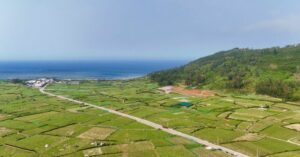Huyện Đảo Lý Sơn