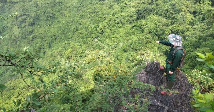 Sơn dương tại Ninh Bình