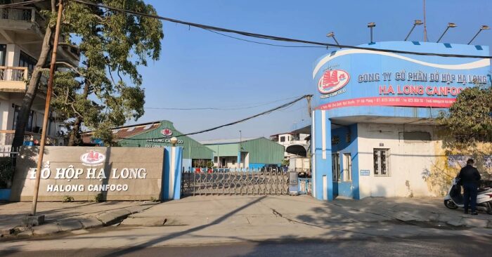 Pate Hạ Long tiêu hủy
