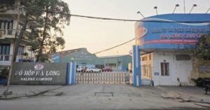 Hải Phòng tiêu hủy thịt nhiễm dịch