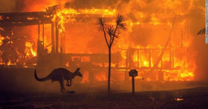 cháy rừng Australia
