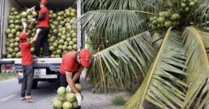 Xuất khẩu rau quả sang EU và bước ngoặt kinh tế năm 2025
