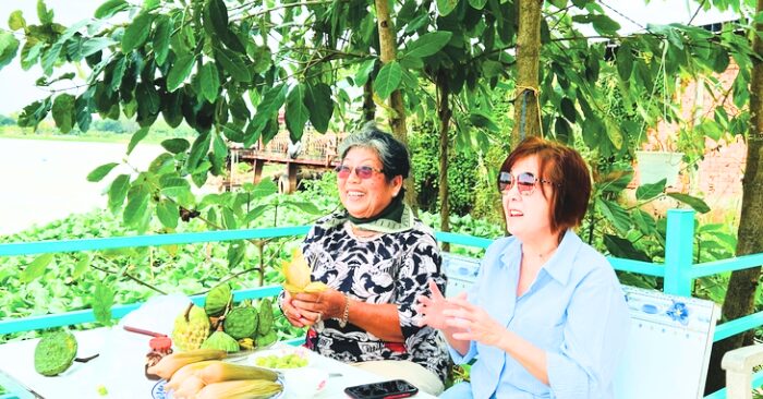 Kiều bào về nước tìm lại bản sắc và sự bình yên tâm hồn