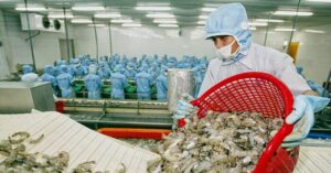 Mỹ hạ thuế chống bán phá giá cho tôm Việt Nam