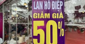 thị trường hoa Tết Hà Nội