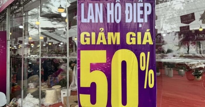 thị trường hoa Tết Hà Nội