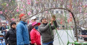 Diễn biến dự báo thời tiết Tết 2026 tại các vùng miền