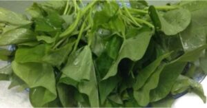 công dụng của rau khoai lang