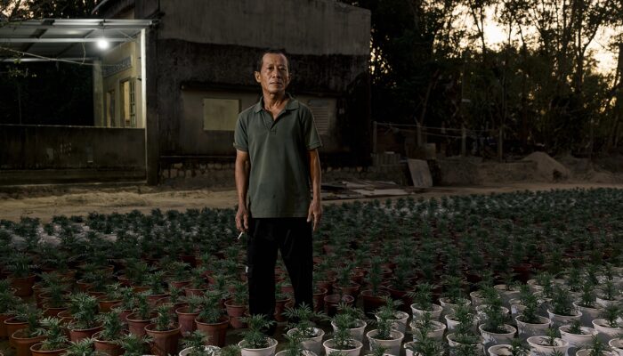 Sau lũ lịch sử