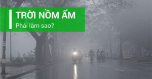 Mẹo xử lý sàn nhà bị nồm ẩm hiệu quả trong thời tiết miền Bắc
