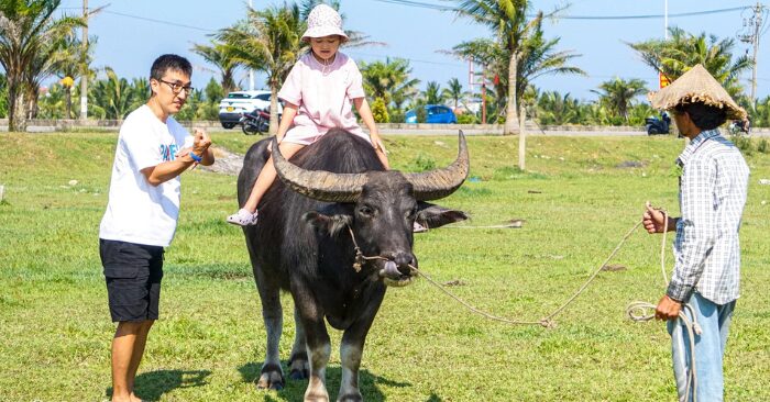  Dịch vụ cưỡi trâu