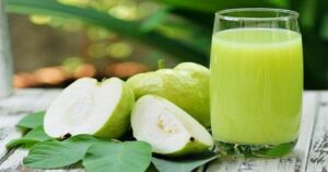 Quả ổi: kho báu dinh dưỡng bình dân thường bị bỏ qua