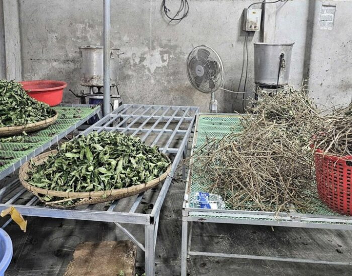 đường dây dược liệu giả Hoàng Minh Đường