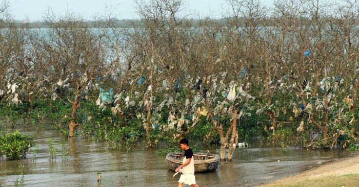 Rác thải rừng bần tàn phá lá phổi xanh ven sông Lam