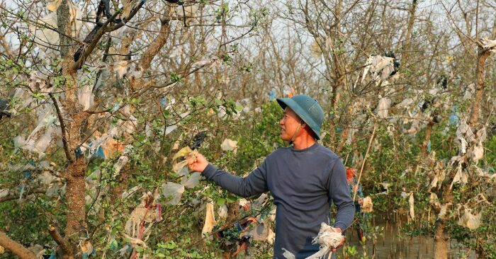 Rác thải rừng bần tàn phá lá phổi xanh ven sông Lam