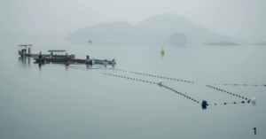 Nuôi trồng thủy sản hồ chứa