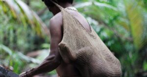 Giải mã bí ẩn về bộ tộc Korowai tại vùng rừng Papua