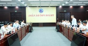 Sâm Ngọc Linh: THACO đề xuất dự án trồng dược liệu quy mô lớn