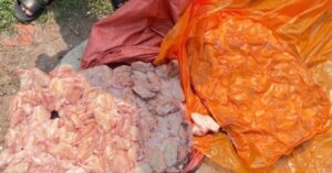 Thực phẩm đông lạnh: Phát hiện 26 tấn gà lợn hôi thối tại biên giới