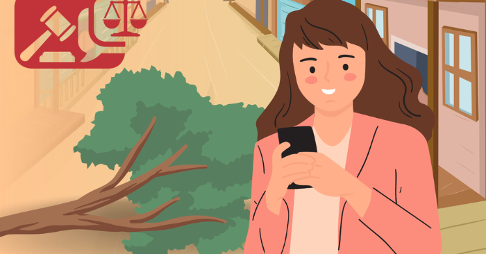 Hoa lợi từ cây trồng và ranh giới đất theo quy định luật dân sự