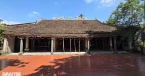 Cọc tre chống nắng di tích