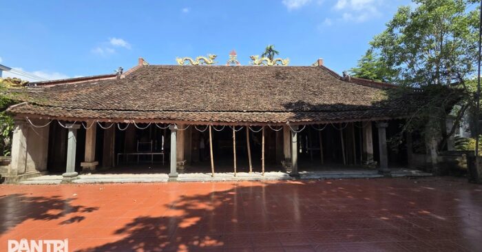 Cọc tre chống nắng di tích