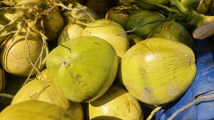 Uống nhiều nước dừa giải nhiệt có thể gây rối loạn điện giải và ảnh hưởng sức khỏe. Tìm hiểu cách dùng nước dừa hợp lý.