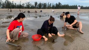Nghề cào ngao tự nhiên trên biển Quỳnh Xuân vất vả nhưng vẫn thu hút nhiều người trẻ tham gia để cải thiện bữa ăn và tăng thu nhập.
