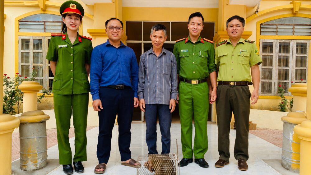 Phát hiện khỉ đuôi lợn trong vườn nhà dân, người dân Nghệ An trình báo công an và tự nguyện giao nộp để cứu hộ, bảo tồn động vật hoang dã.