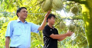 Giá trái cây: Nghịch lý giá vườn rẻ mạt nhưng giá chợ tăng gấp 5 lần