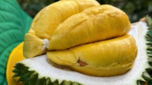 Ăn sầu riêng đúng cách giúp hạn chế tăng cân, kiểm soát đường huyết và tận hưởng hương vị yêu thích mà vẫn bảo vệ sức khỏe.