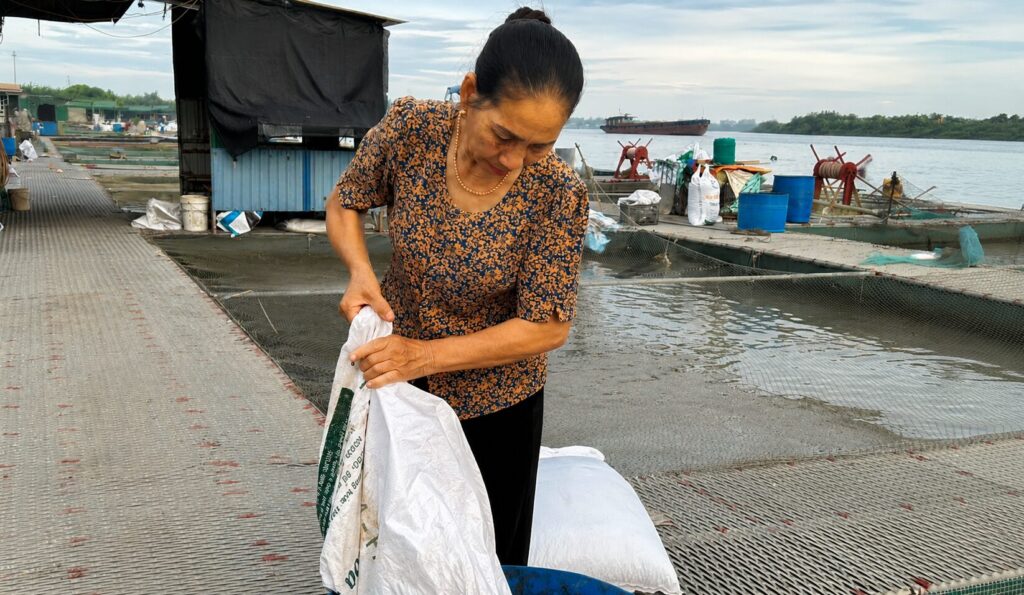 Ảnh bà Lương Thị Hồng trong trang phục lao động, đứng trên lồng bè nuôi cá chép giòn trên sông Kinh Thầy.