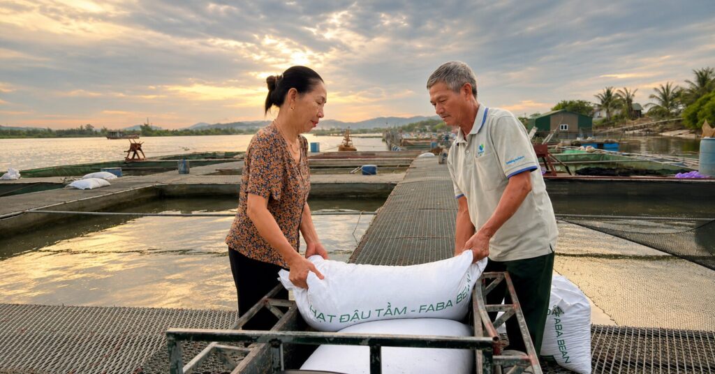 Bà Hồng (68 tuổi) mặc áo lao động bạc màu đang cùng chồng chuyển bao thức ăn (đậu tương ngâm) từ trên chiếc xe lam của chồng xuống bè.