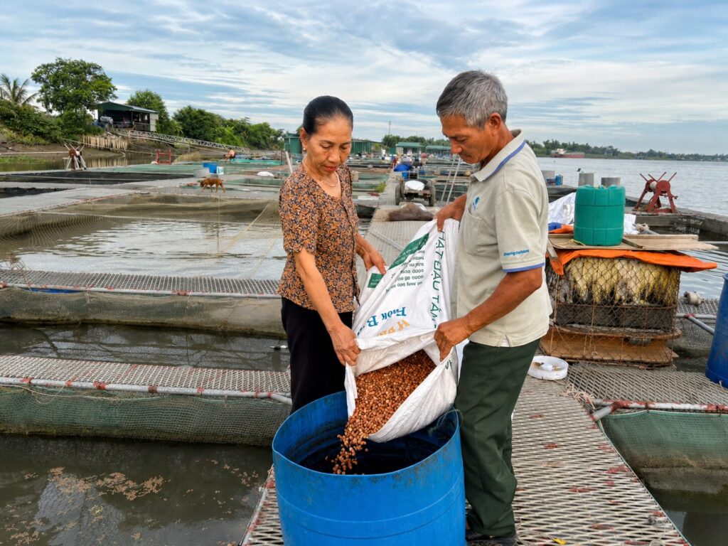 Khoảnh khắc hai ông bà (bà Hồng 68 tuổi, ông nhà 71 tuổi) cùng lao động bên nhau trên bè cá