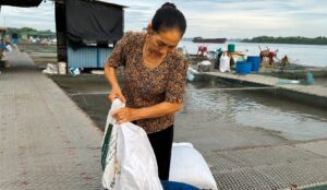 Ảnh bà Lương Thị Hồng trong trang phục lao động, đứng trên lồng bè nuôi cá chép giòn trên sông Kinh Thầy.