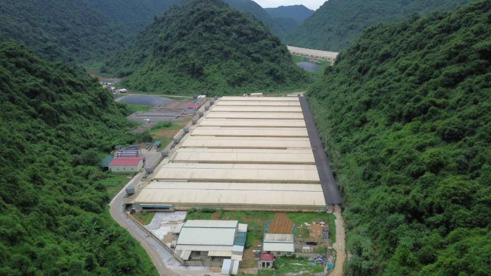 Vụ tai nạn tại trang trại lợn ở Thanh Hóa khiến thêm 2 nạn nhân tử vong, nâng số người chết lên 5. Diễn biến mới đang được điều tra.
