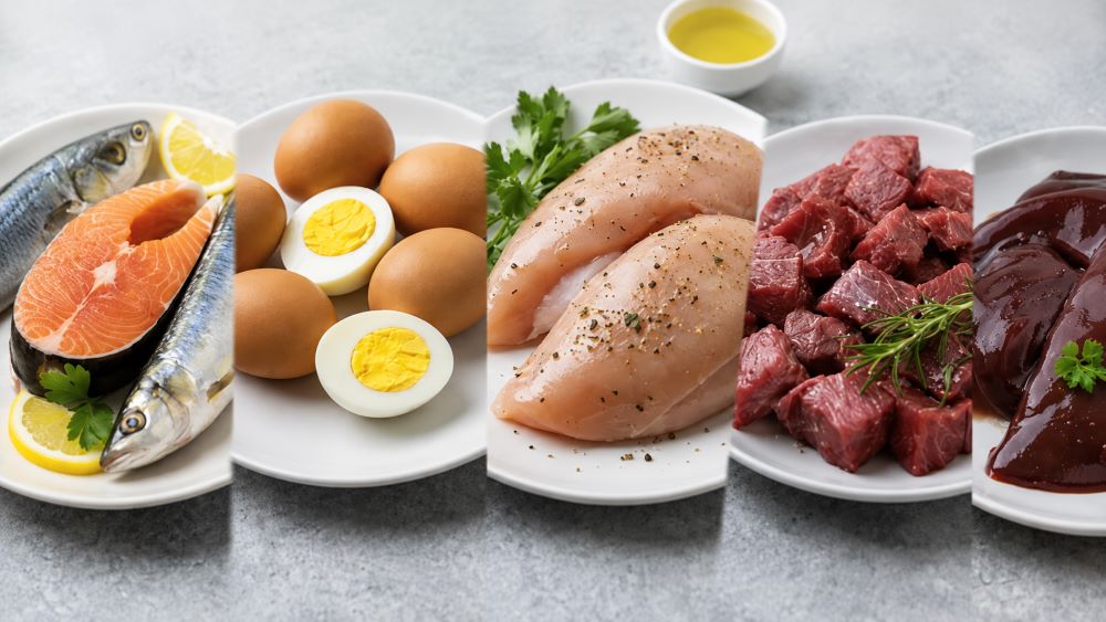 Suy giảm trí nhớ ở người lớn tuổi nên ăn gì? Khám phá 10 loại thịt giàu dinh dưỡng được khuyến nghị hỗ trợ sức khỏe não bộ và thể chất.
