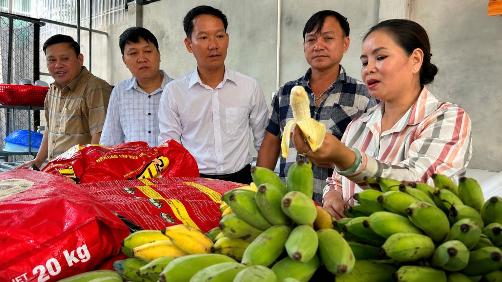 Mô hình nuôi chồn hương của bà Bùi Thị Nghĩa tại Quảng Trị được cán bộ địa phương kiểm tra, mở ra hướng phát triển kinh tế hiệu quả.