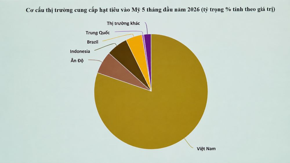 Việt Nam thu gần 1 tỷ USD từ xuất khẩu hạt tiêu, trong đó Mỹ nhập hơn 36.000 tấn. Xem diễn biến và cơ cấu thị trường mới nhất.